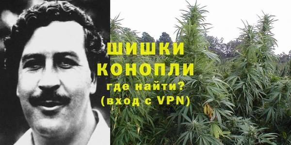 каннабис Алзамай
