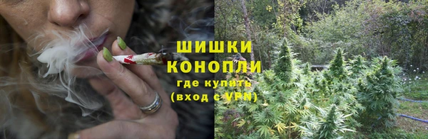 каннабис Алзамай