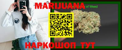 apvp Гусев