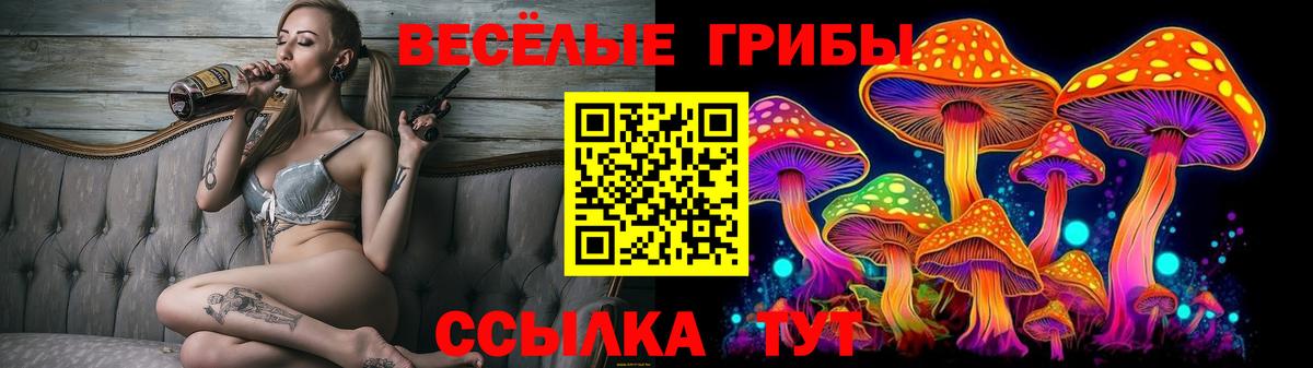 Советская Гавань  Псилоцибиновые грибы Magic Shrooms  Вход с VPN  закладки  Галлюциногенные грибы прущие грибы 